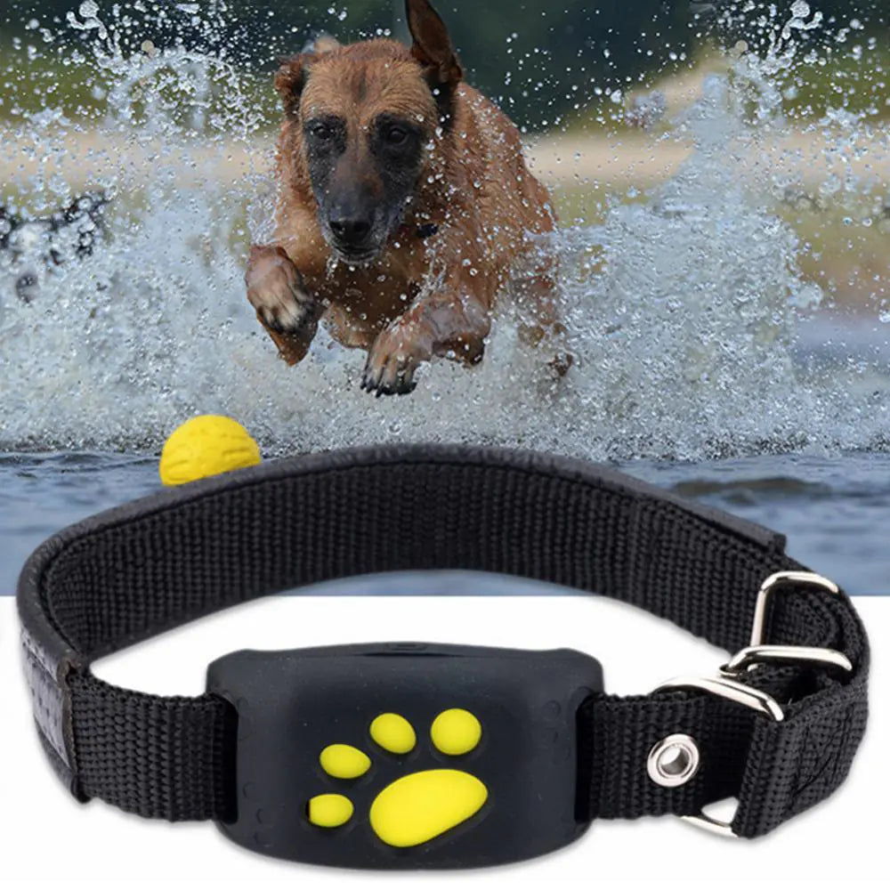 Pet GPS Tracker