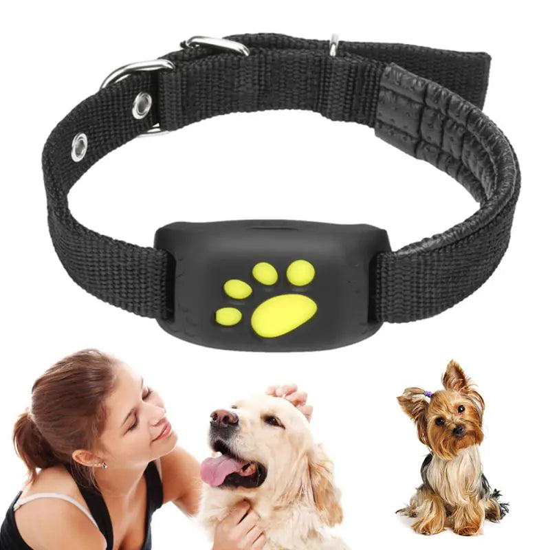 Pet GPS Tracker
