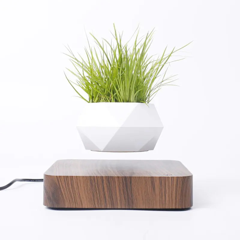 Zwevende Bonsai Pot