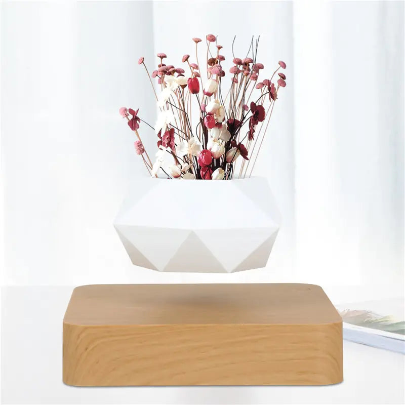 Zwevende Bonsai Pot