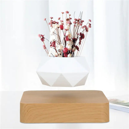 Zwevende Bonsai Pot